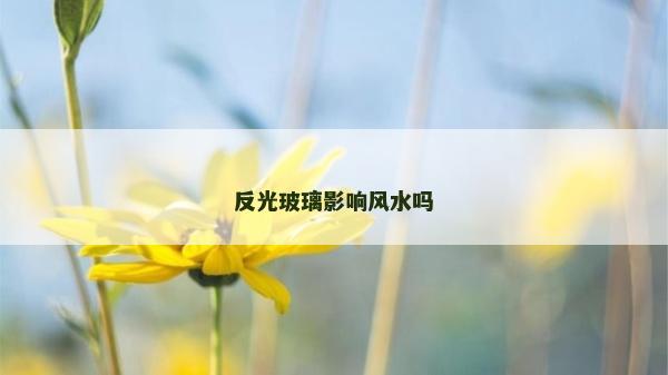反光玻璃影響風(fēng)水嗎