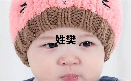姓樊叫什么名字好 姓樊的男孩有涵養的名字