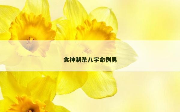 食神制殺八字命例男