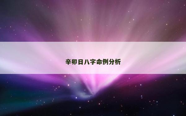 辛卯日八字命例分析