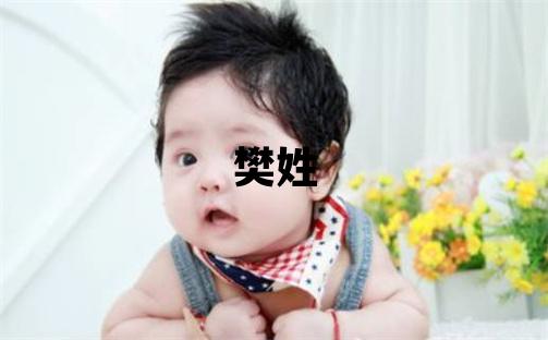 樊姓取名冷門獨特的男寶寶名字