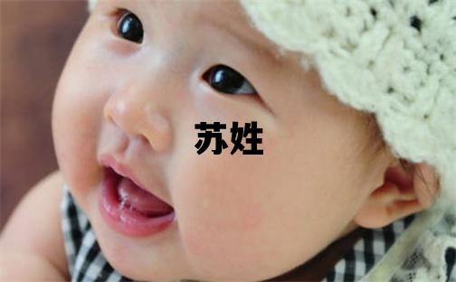 蘇姓取名有含義的女寶寶名字