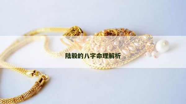 陸毅的八字命理解析