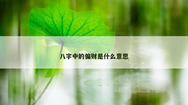 八字中的偏財(cái)是什么意思