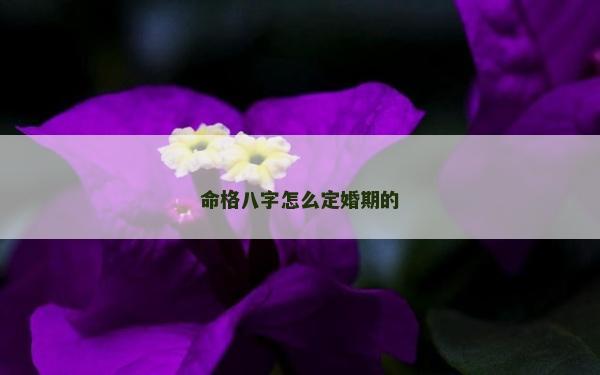 命格八字怎么定婚期的 命格八字怎么定婚期的