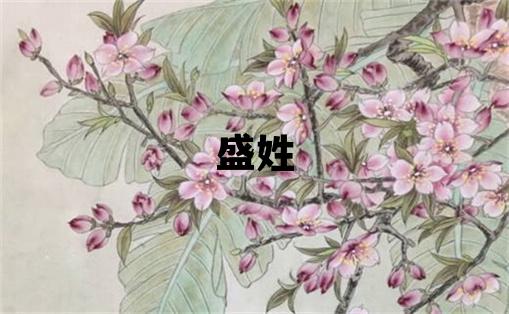 盛姓大氣文雅的女孩名字,取什么名字好