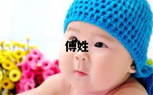 傅姓取名有詩意的男寶寶名字