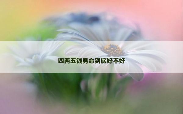 四兩五錢男命到底好不好