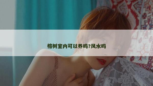 榕樹室內(nèi)可以養(yǎng)嗎?風(fēng)水嗎 榕樹室內(nèi)可以養(yǎng)嗎?風(fēng)水嗎