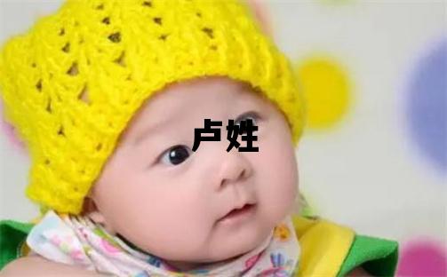 盧姓冷門獨(dú)特的男孩名字,取什么名字好