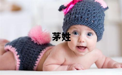 茅姓朗朗上口的男孩名字,取什么名字好