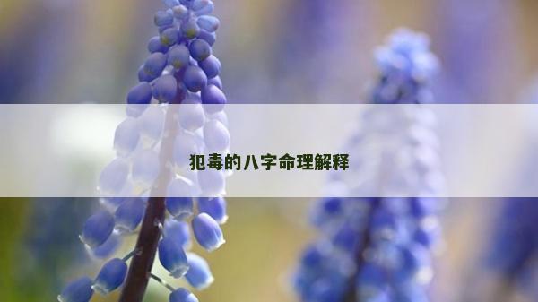 犯毒的八字命理解釋 犯毒的八字命理解釋