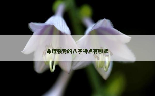 命理強勢的八字特點有哪些