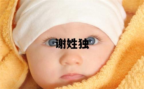 謝姓獨特優美的女孩名字,取什么名字好