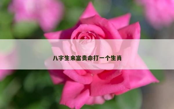 八字生來富貴命打一個生肖