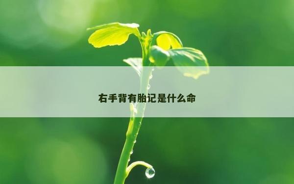 右手背有胎記是什么命