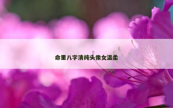 命里八字清純頭像女溫柔