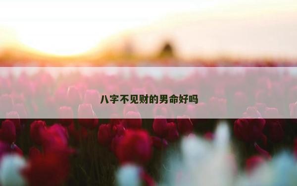 八字不見財的男命好嗎