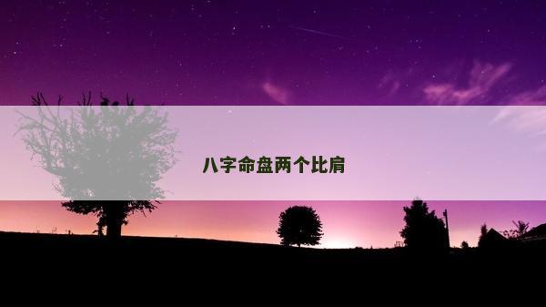 八字命盤兩個比肩 八字命盤兩個比肩