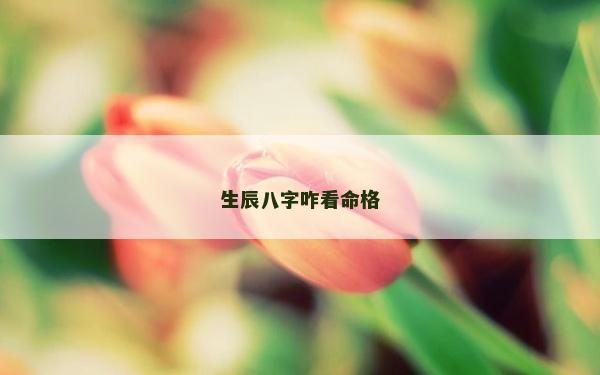生辰八字咋看命格 生辰八字咋看命格