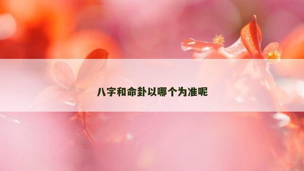 八字和命卦以哪個為準呢