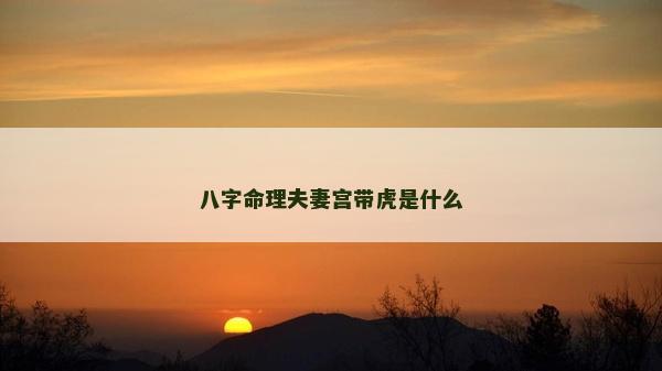 八字命理夫妻宮帶虎是什么