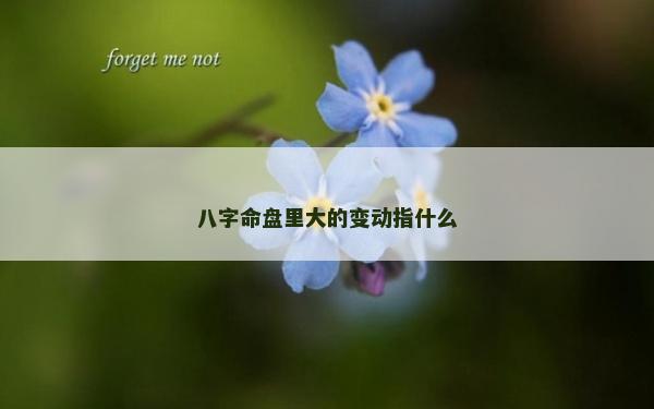 八字命盤里大的變動指什么