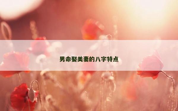 男命娶美妻的八字特點 男命娶美妻的八字特點