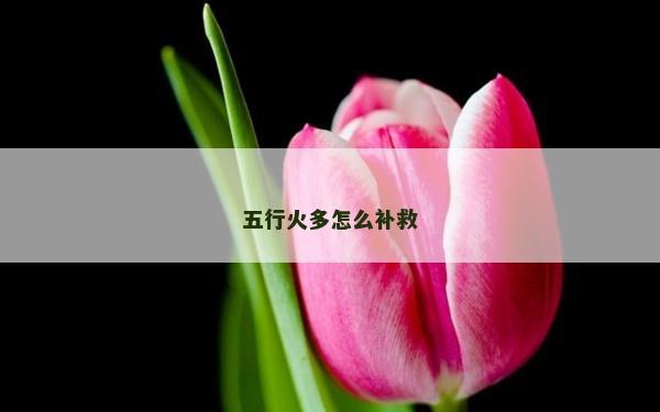 五行火多怎么補救