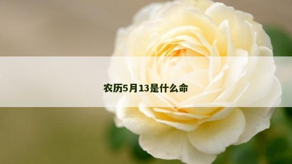 農(nóng)歷5月13是什么命
