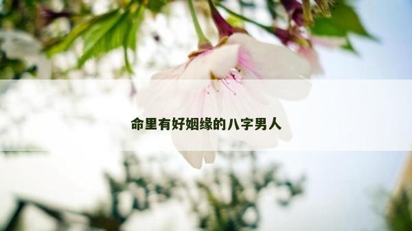 命里有好姻緣的八字男人