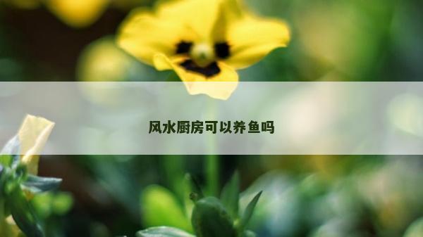 風水廚房可以養魚嗎
