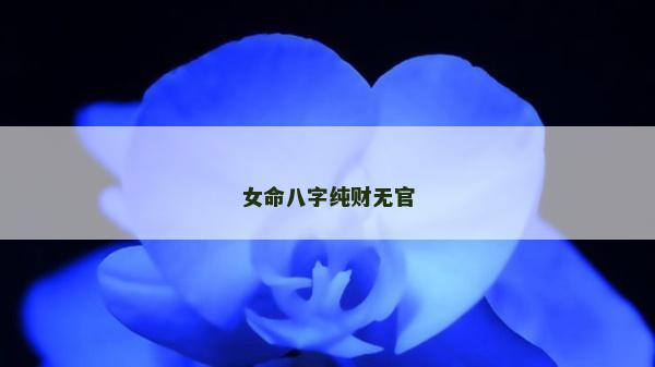 女命八字純財無官