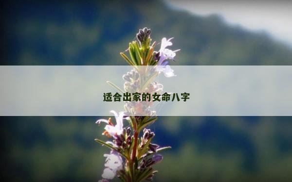 適合出家的女命八字 適合出家的女命八字