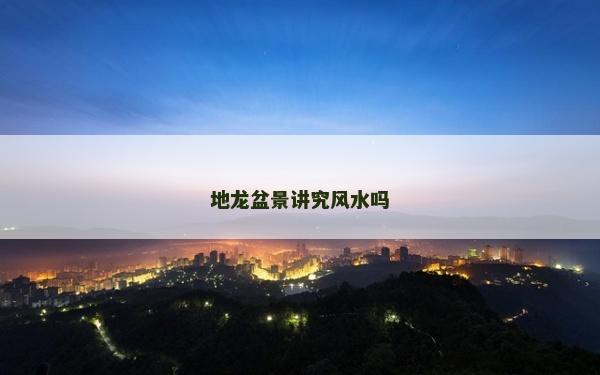 地龍盆景講究風水嗎