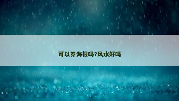 可以養海報嗎?風水好嗎