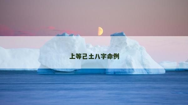 上等己土八字命例 上等己土八字命例