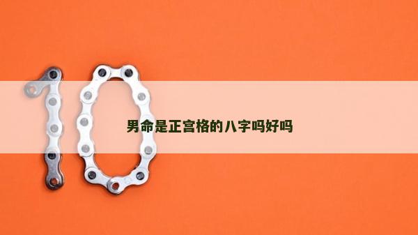 男命是正宮格的八字嗎好嗎 男命是正宮格的八字嗎好嗎