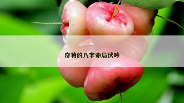 奇特的八字命局伏吟