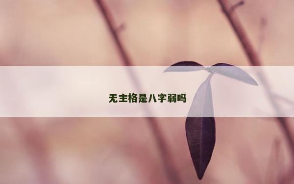 無主格是八字弱嗎
