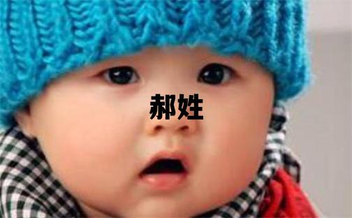 郝姓有涵養的男孩名字