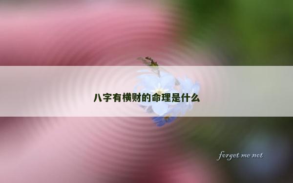 八字有橫財?shù)拿硎鞘裁? alt=