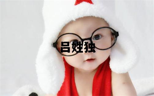 呂姓獨特優美的男孩名字,取什么名字好