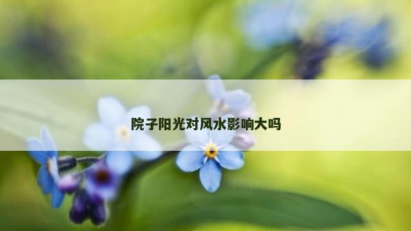 院子陽光對(duì)風(fēng)水影響大嗎