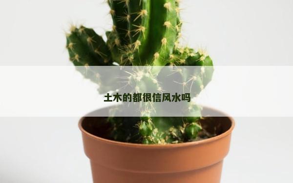 土木的都很信風水嗎