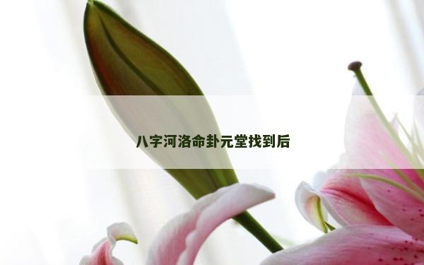 八字河洛命卦元堂找到后