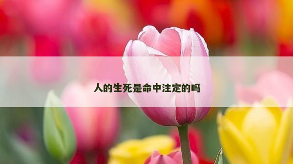人的生死是命中注定的嗎
