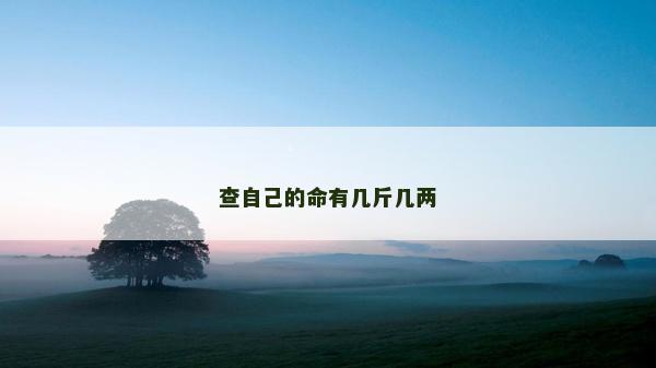 查自己的命有幾斤幾兩