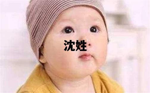 沈姓有新意的男孩名字