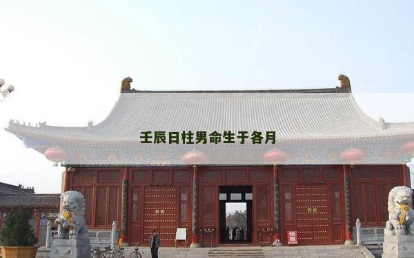壬辰日柱男命生于各月